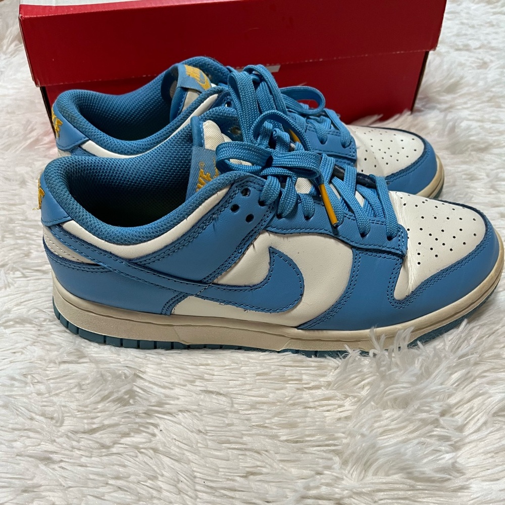 Nike dunks